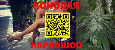 стафф Гусев