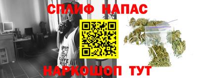 стафф Гусев