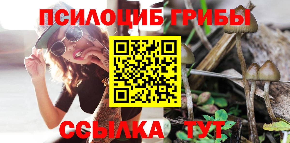 Галлюциногенные грибы Magic Shrooms Муром